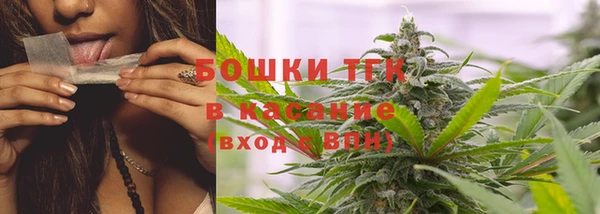 индика Нефтегорск