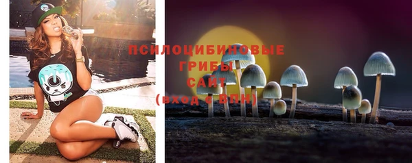 стаф Нея