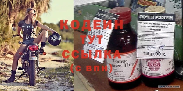 индика Нефтегорск