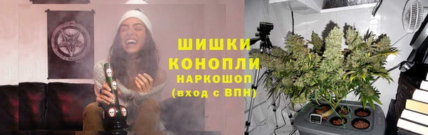 СК Покров