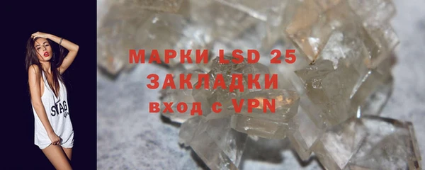 стаф Нея