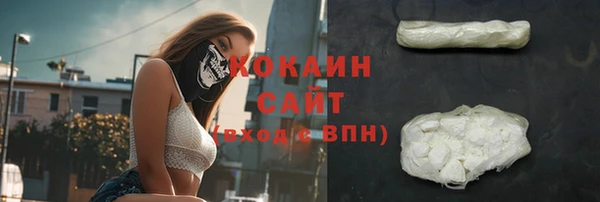 стаф Нея