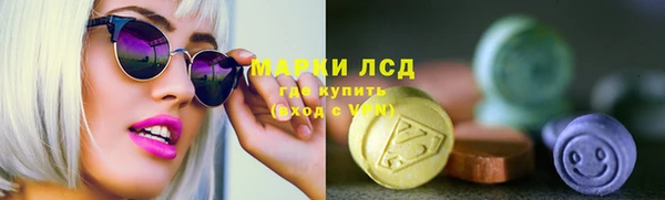 стаф Нея