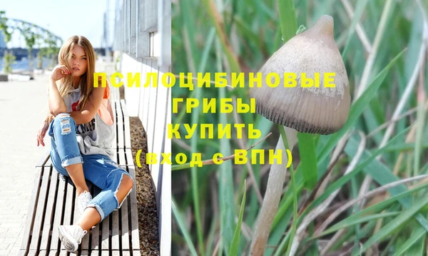 СК Покров
