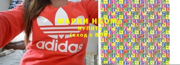индика Нефтегорск