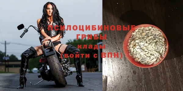 СК Покров