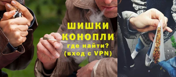индика Нефтегорск