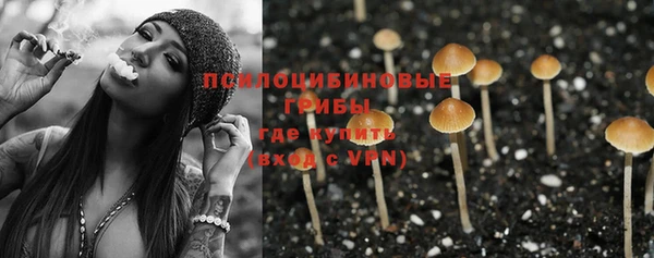 СК Покров