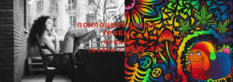 Галлюциногенные грибы Psilocybine cubensis  blacksprut вход  Адыгейск  закладки 