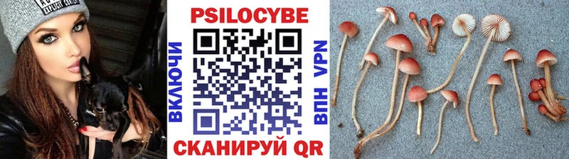Псилоцибиновые грибы Magic Shrooms  Адыгейск 